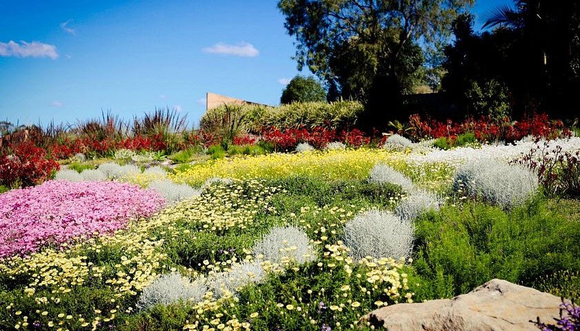 Australian Botanic Garden Mount Annan, Australia